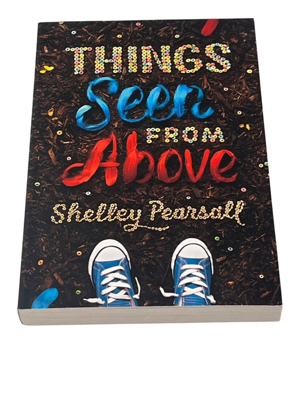 Things Seen From Above Shelley Pearsall Paperback Kids Chapter Book